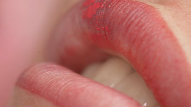 Natural, Rosy Lips with Lip Blush Tattoo in Gig Harbor, WA at Haven Permanent Cosmetics & Aesthetics